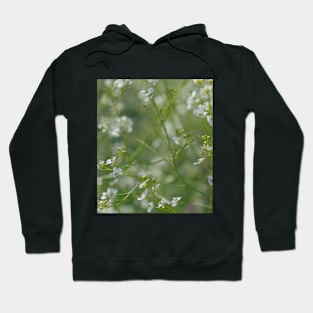 beautiful white wild flowers Hoodie